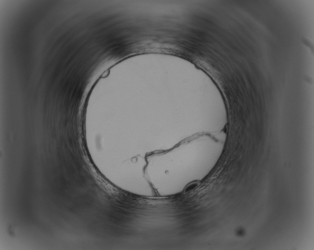 X0000097471152200803201442