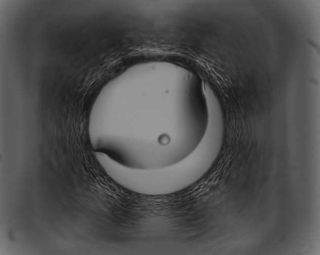 X0000097471157200803201442