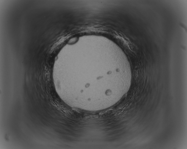 X0000097471159200803201442