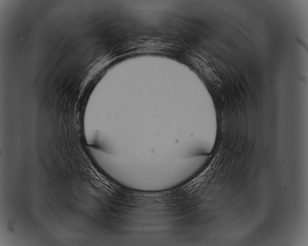 X0000097471164200803201442