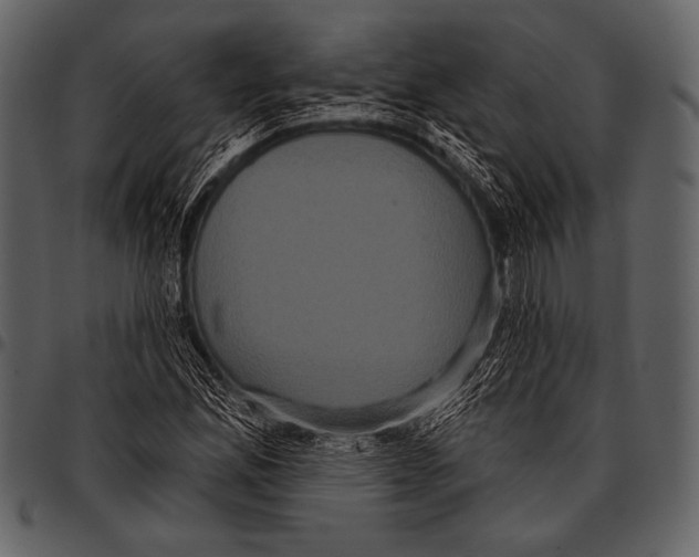 X0000097471165200803201442