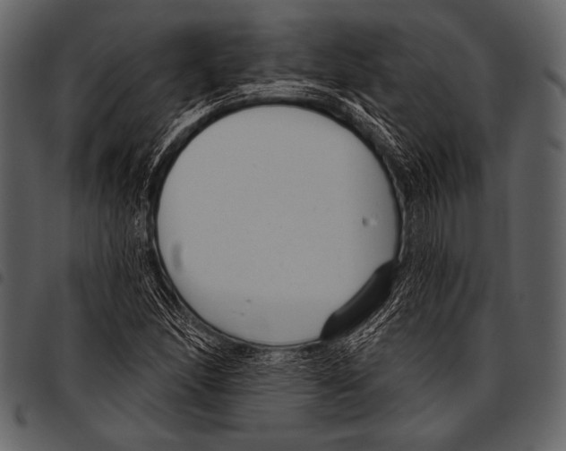 X0000097471166200803201442