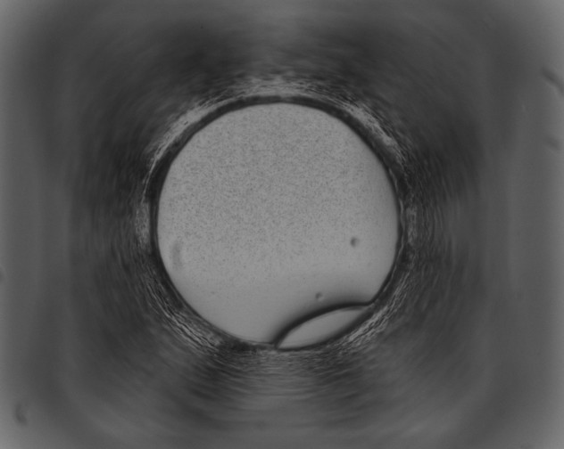 X0000097471167200803201442