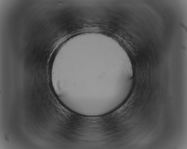 X0000097471168200803201442