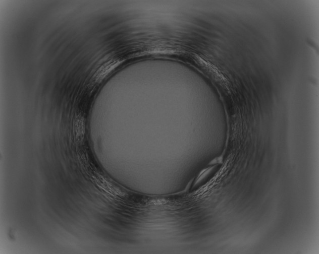 X0000097471169200803201441