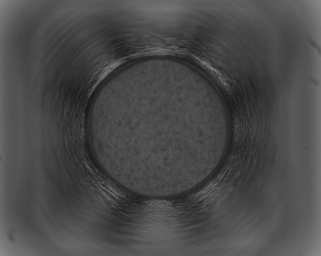 X0000097471170200803201441