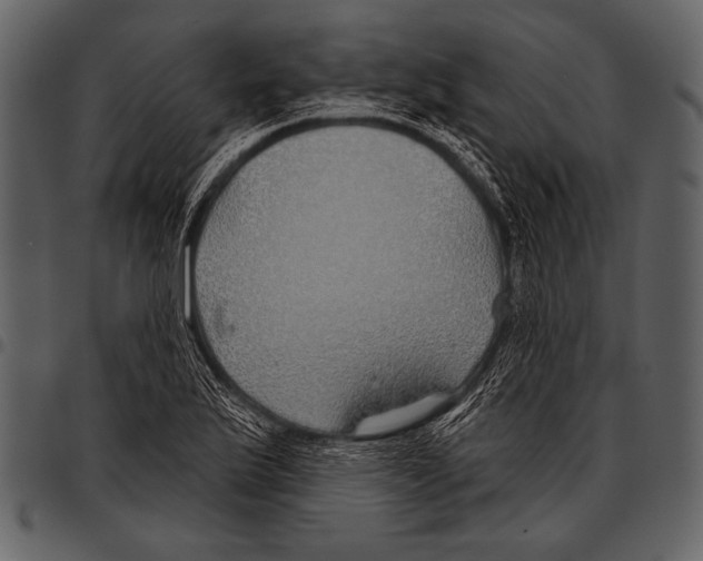 X0000097471175200803201441