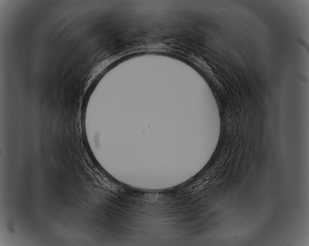 X0000097471176200803201441