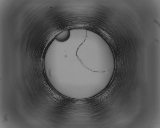 X0000097471178200803201441