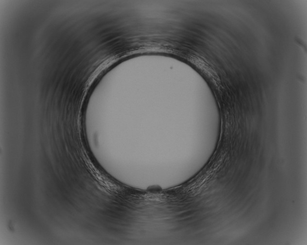 X0000097471181200803201441