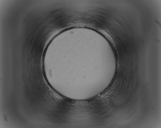 X0000097471183200803201441