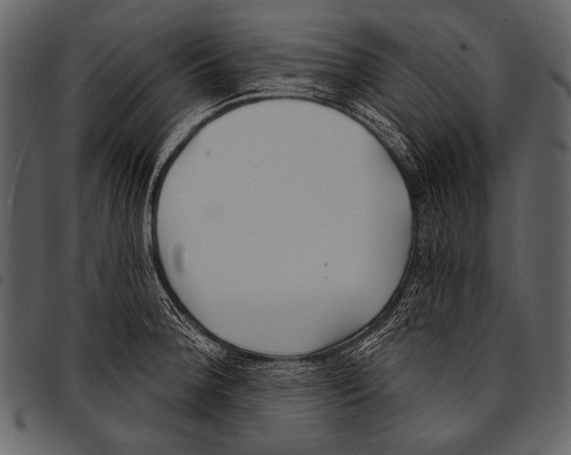 X0000097471188200803201441