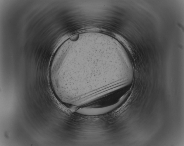 X0000097471194200803201441