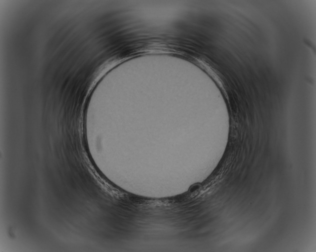 X0000097471195200803201441