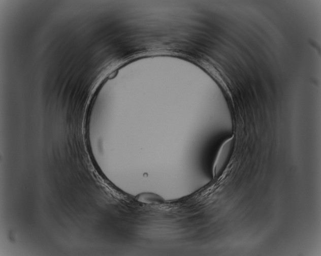 X0000097471197200803201441