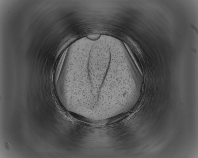 X0000097471198200803201441