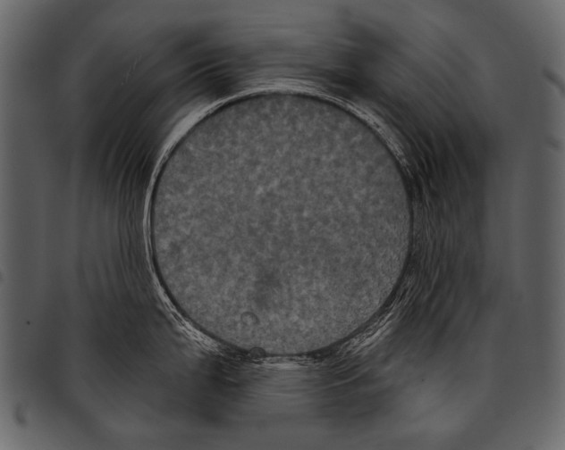 X0000097471199200803201441