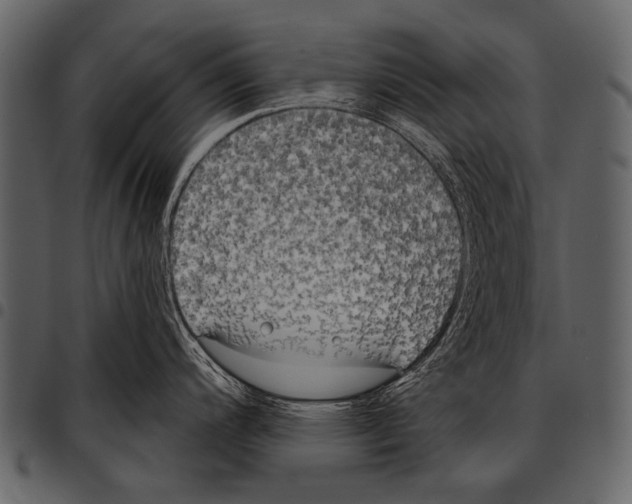 X0000097471200200803201441