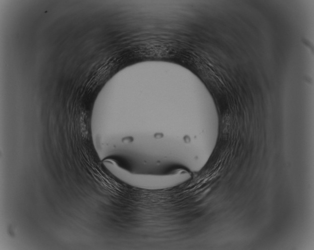 X0000097471202200803201440