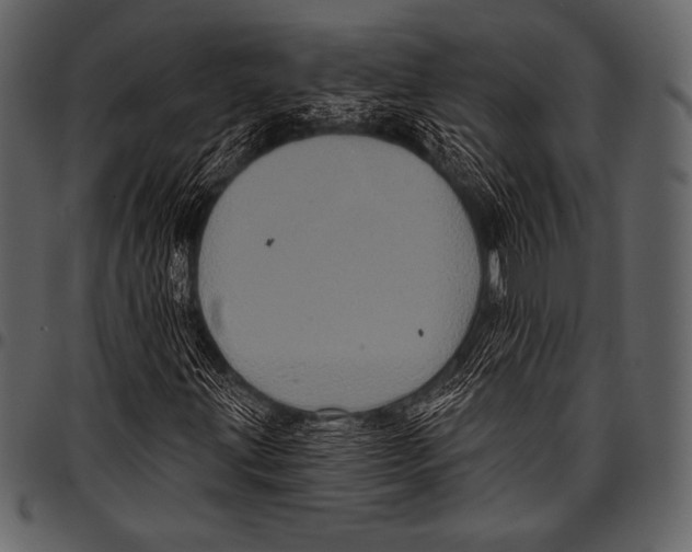 X0000097471203200803201440