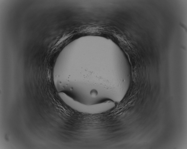 X0000097471206200803201440