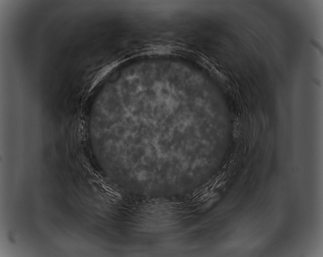 X0000097471208200803201441