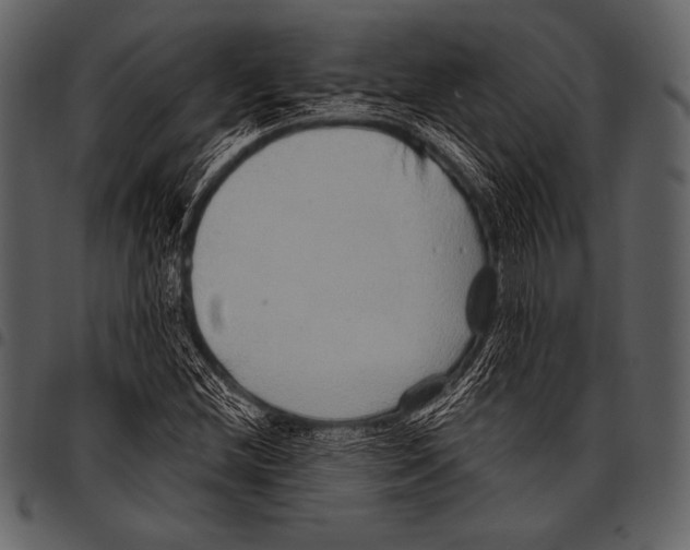 X0000097471212200803201441