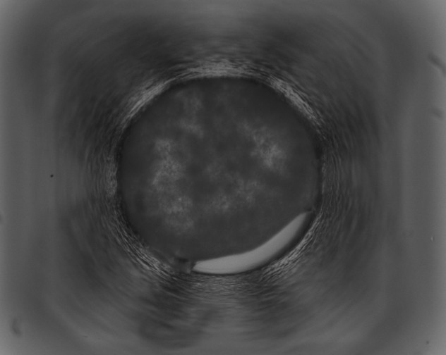 X0000097471213200803201441