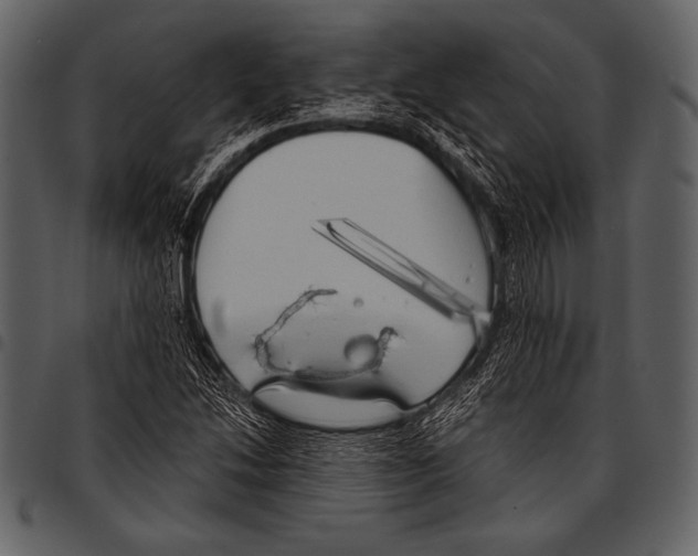 X0000097471214200803201441