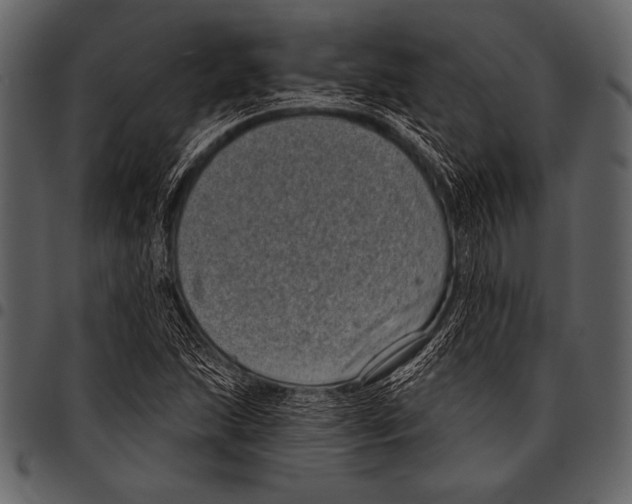 X0000097471215200803201441