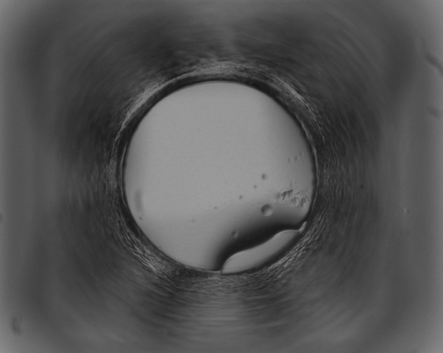 X0000097471216200803201441