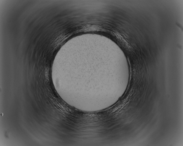 X0000097471217200803201441