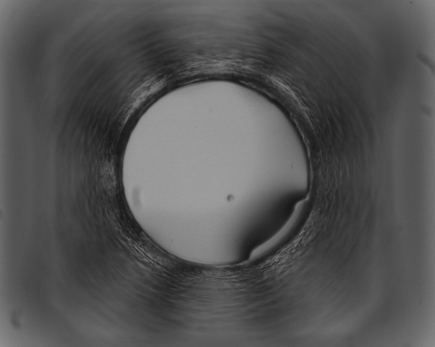 X0000097471218200803201441