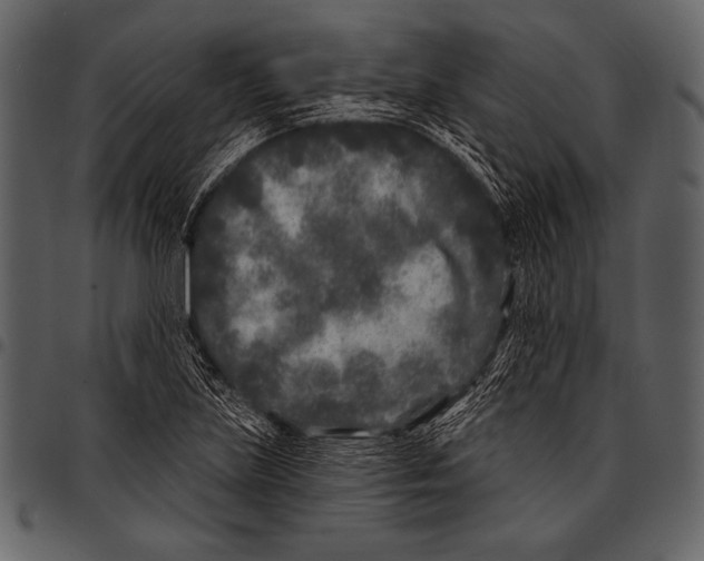 X0000097471219200803201441