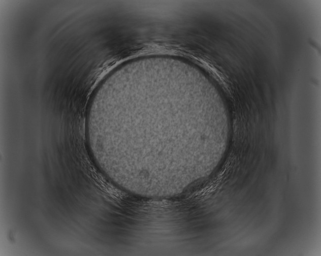 X0000097471220200803201441