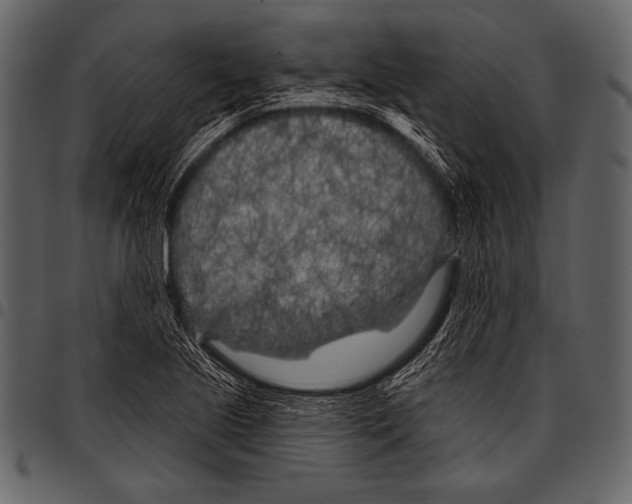 X0000097471221200803201441