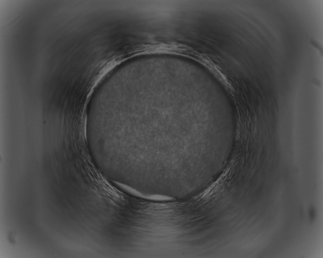 X0000097471224200803201441