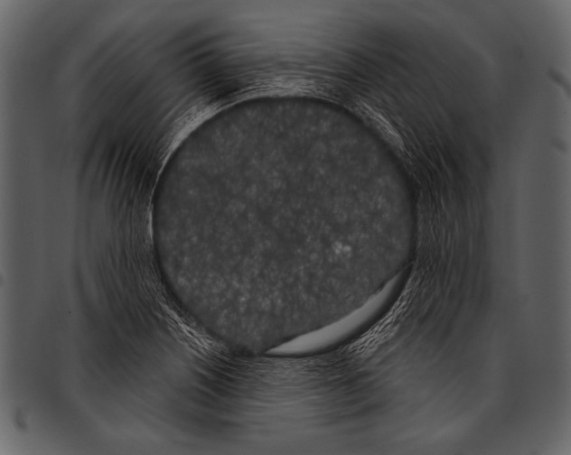 X0000097471226200803201441