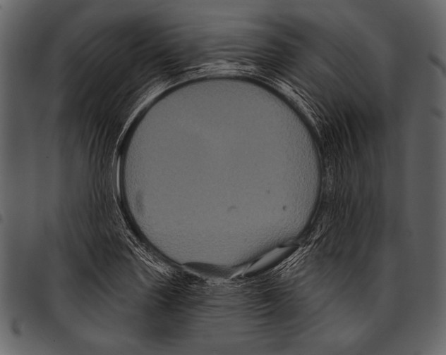 X0000097471227200803201441