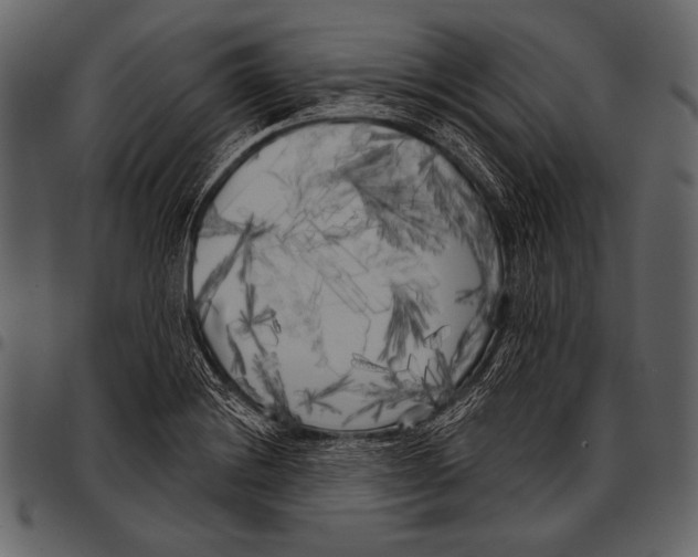 X0000097471228200803201441