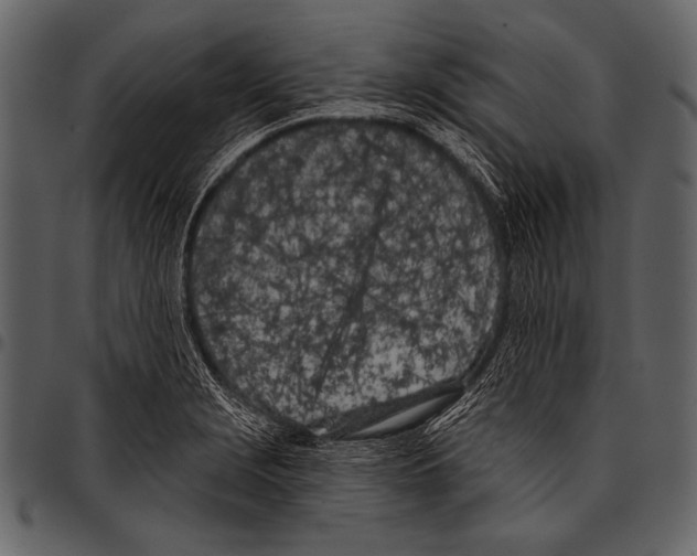 X0000097471229200803201441