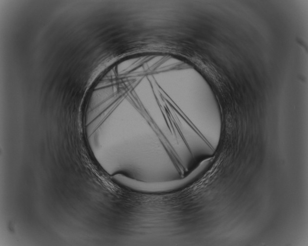 X0000097471230200803201441