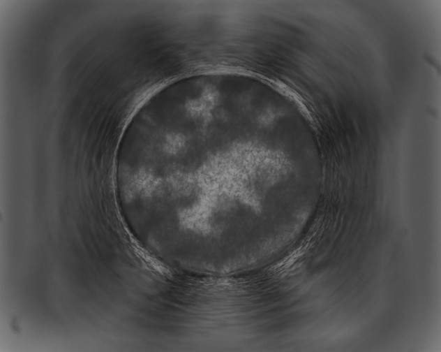 X0000097471231200803201441