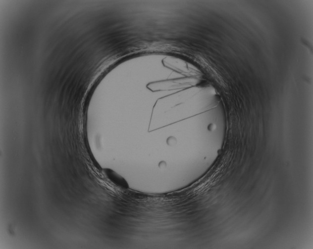 X0000097471232200803201441