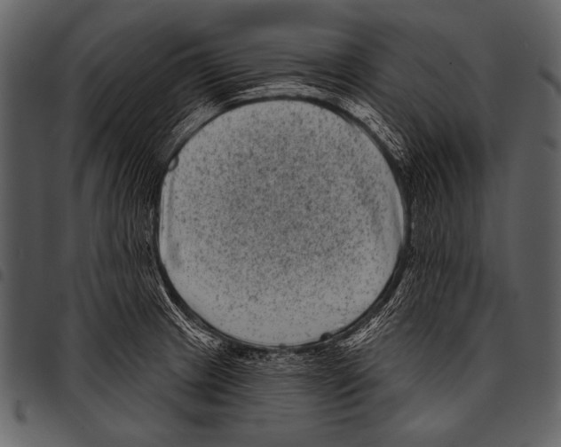 X0000097471233200803201441