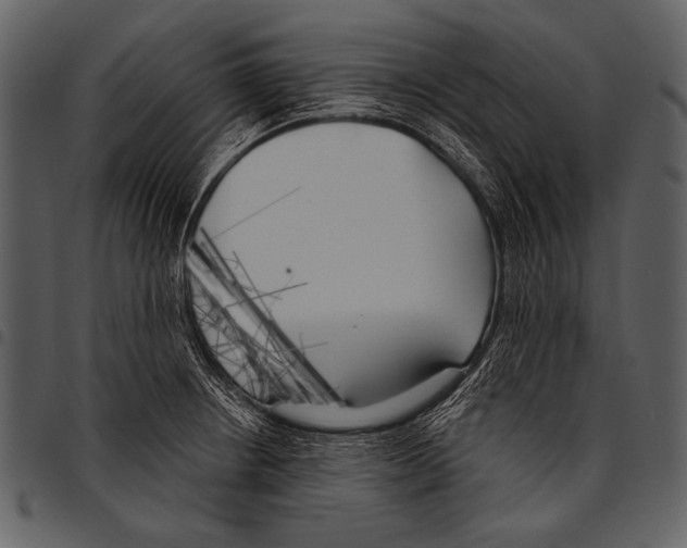 X0000097471234200803201441