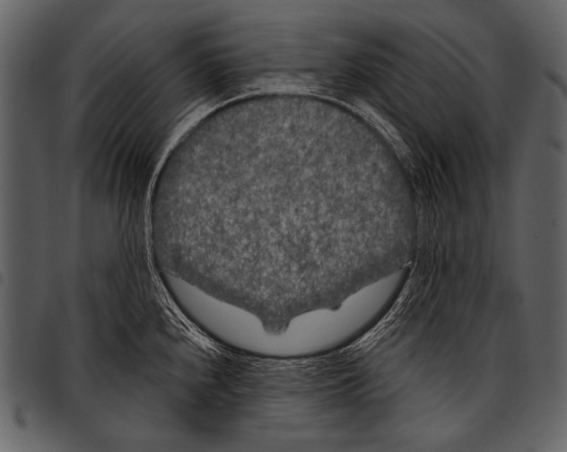 X0000097471240200803201441