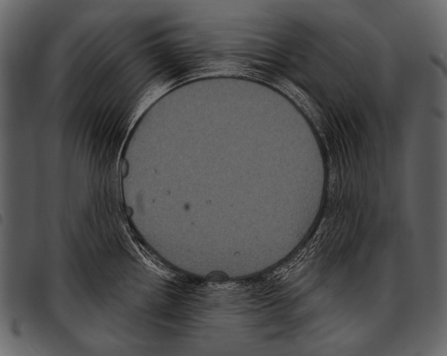 X0000097471242200803201441