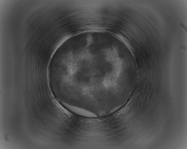 X0000097471243200803201441