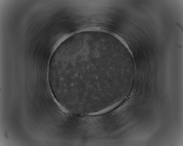 X0000097471245200803201441